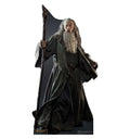 Cardboard Standup O8940
