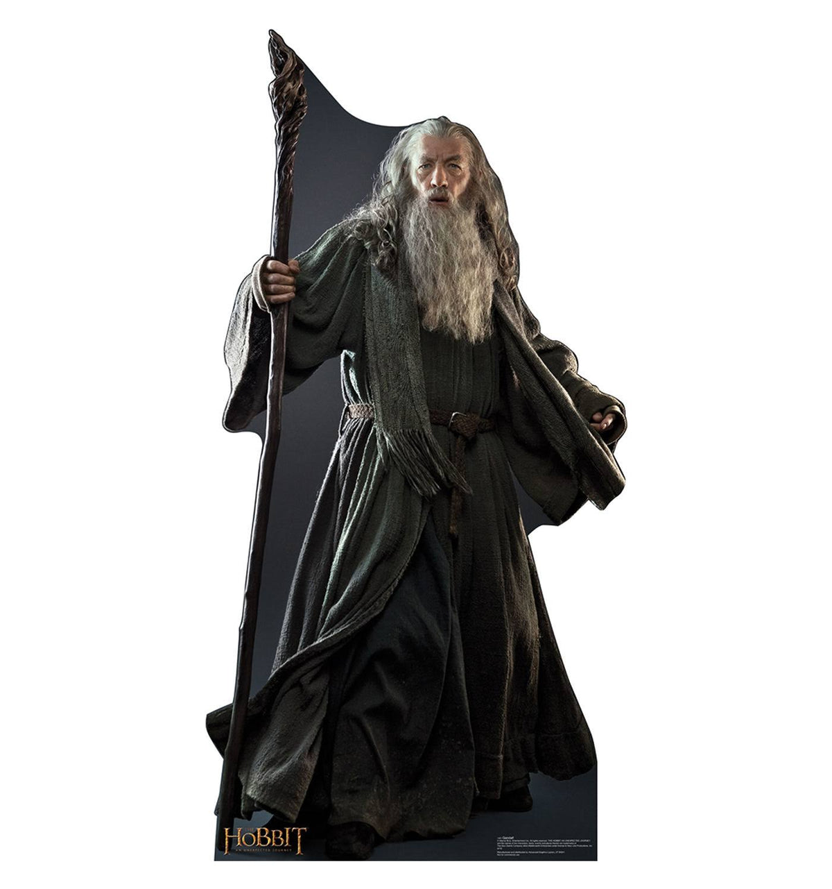 Cardboard Standup O8940