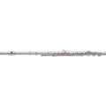 Student Flute F62173