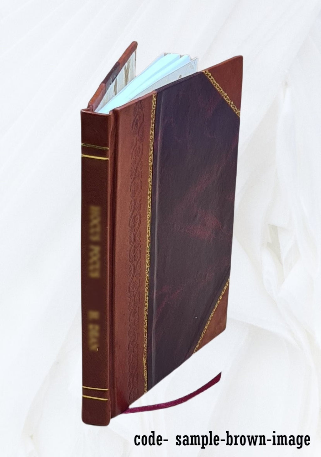 Storrs Agricultural School Annual Report 1896/97 Leather Bound Z797