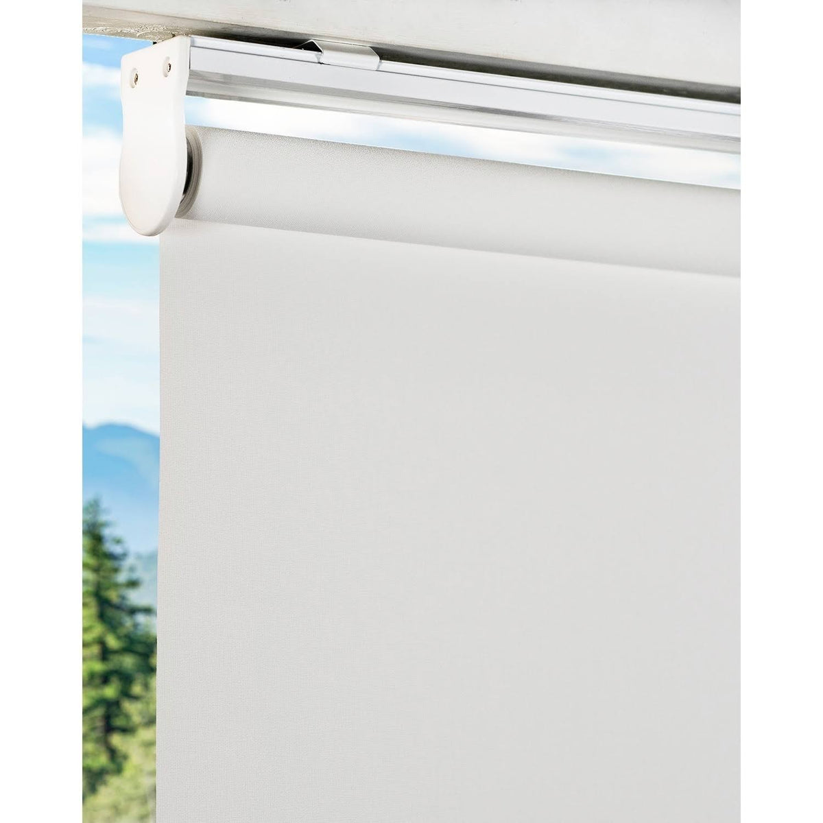 53 x 72 in. Cordless Room Darkening Roller Shades O9866