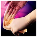 Sterile Latex Surgical Gloves F166