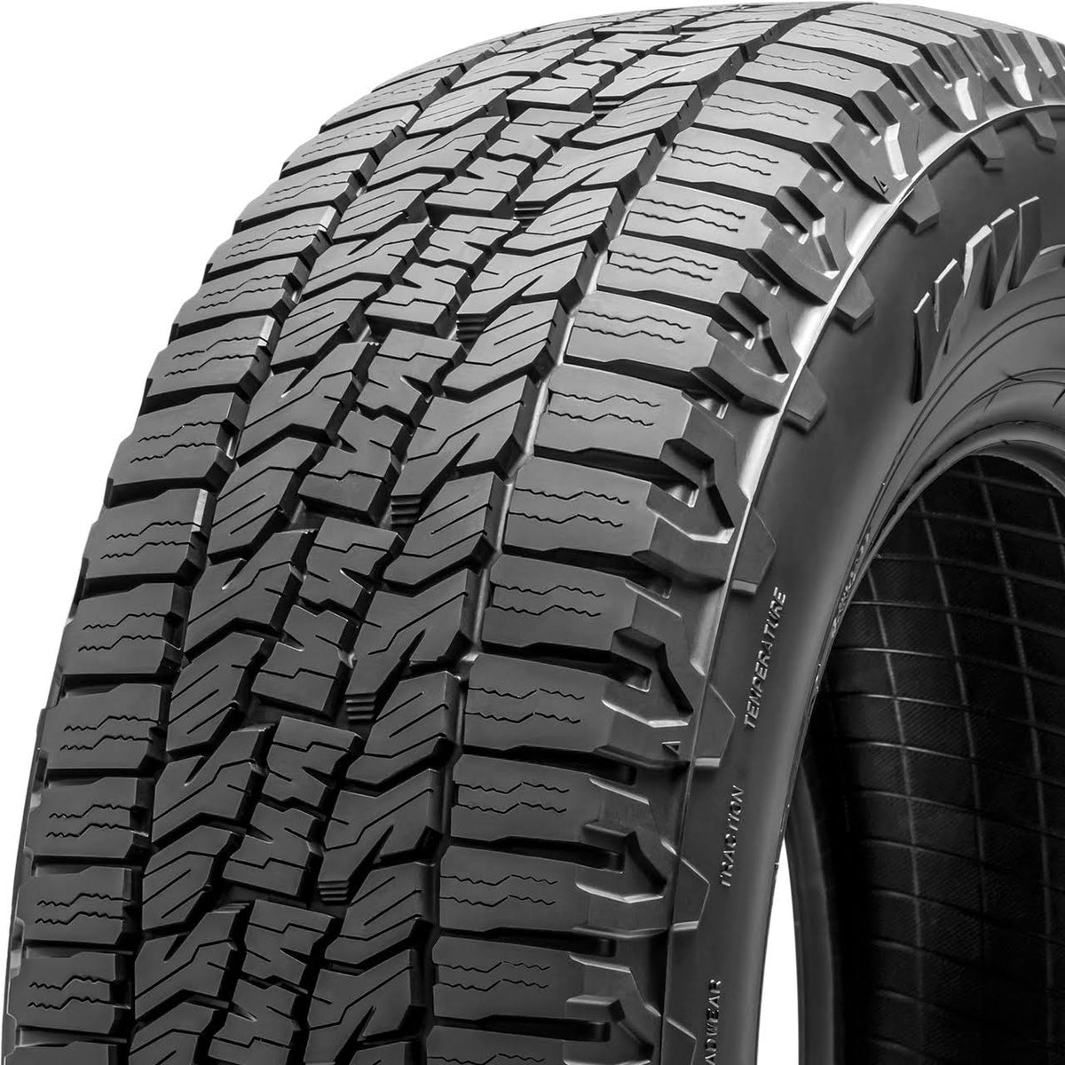 255/55R20 All-Terrain Tire N420099