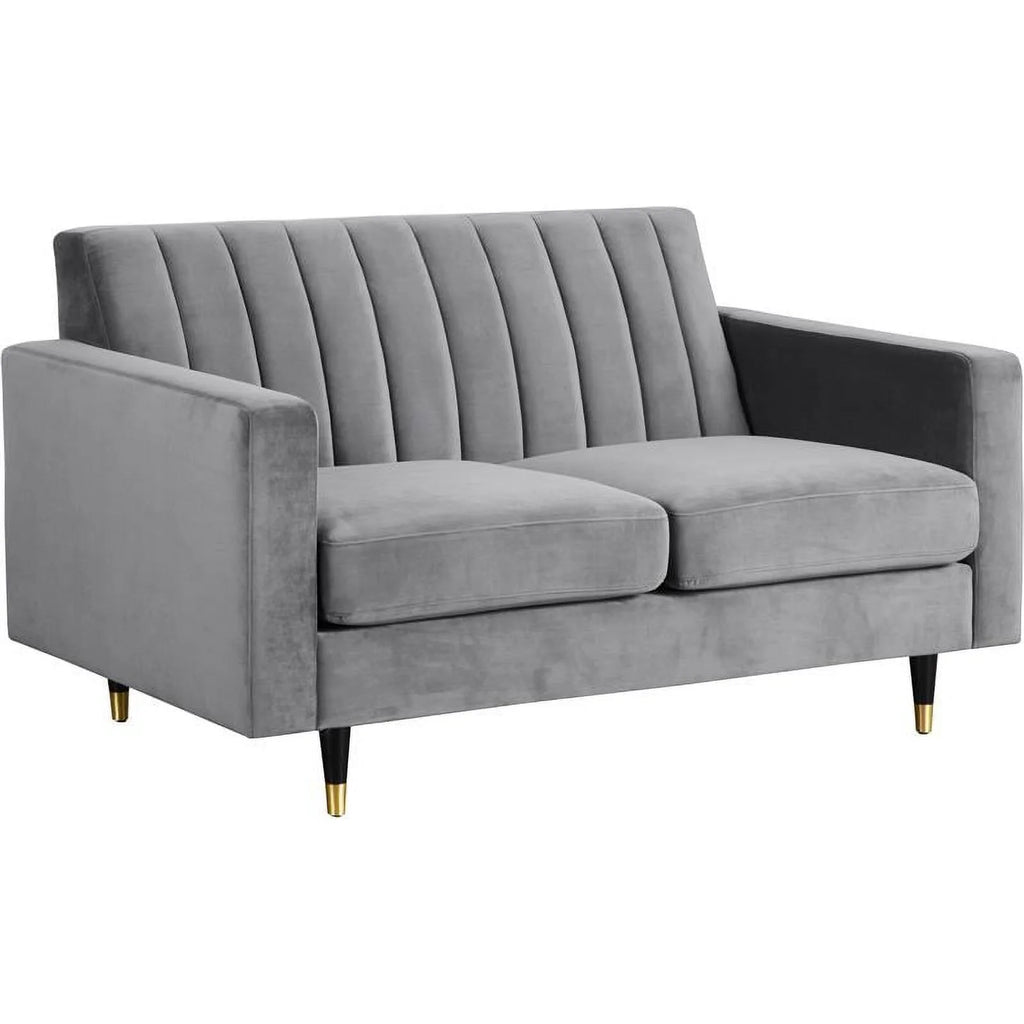 Contemporary Velvet Loveseat and Sofa T58771