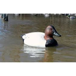 12-Volt Canvasback Swimmer Duck Decoy T58897