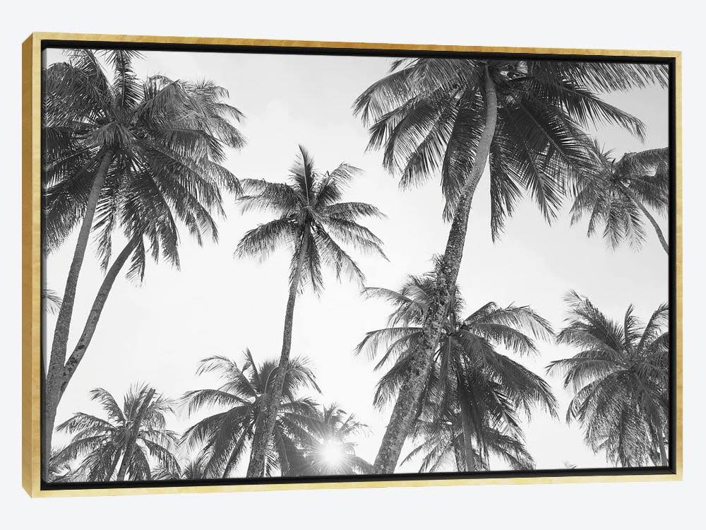 Gold Framed Canvas Photograph Print K609087