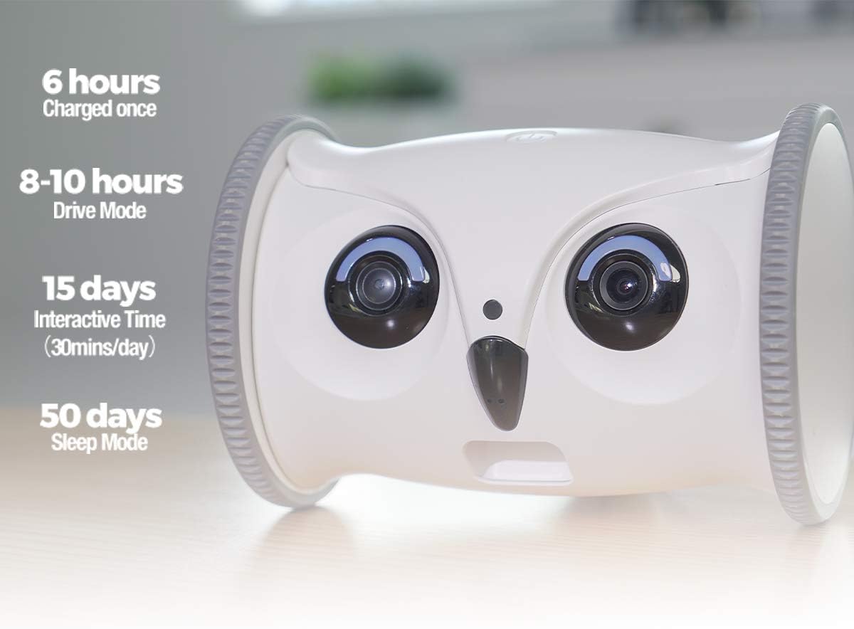Owl Robot Pet Camera with Treat Dispenser C381814