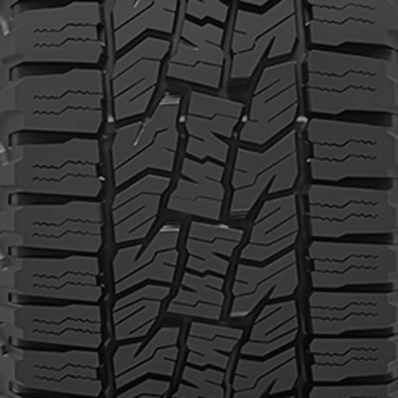 255/55R20 All-Terrain Tire N420099