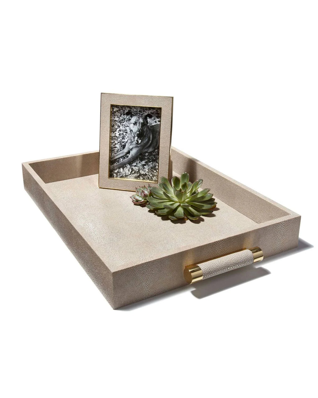 Wheat Shagreen Serving Tray A3839