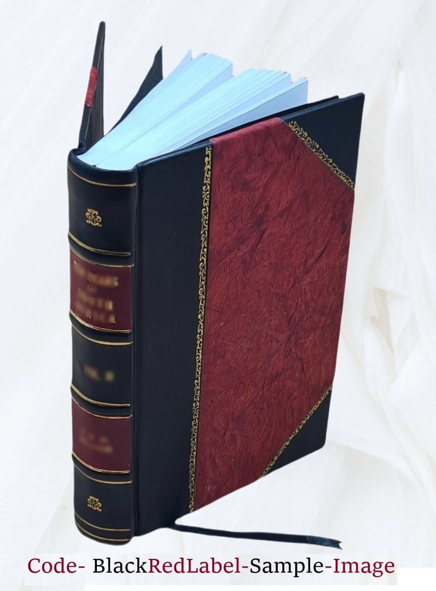 Leather Bound Book U470054