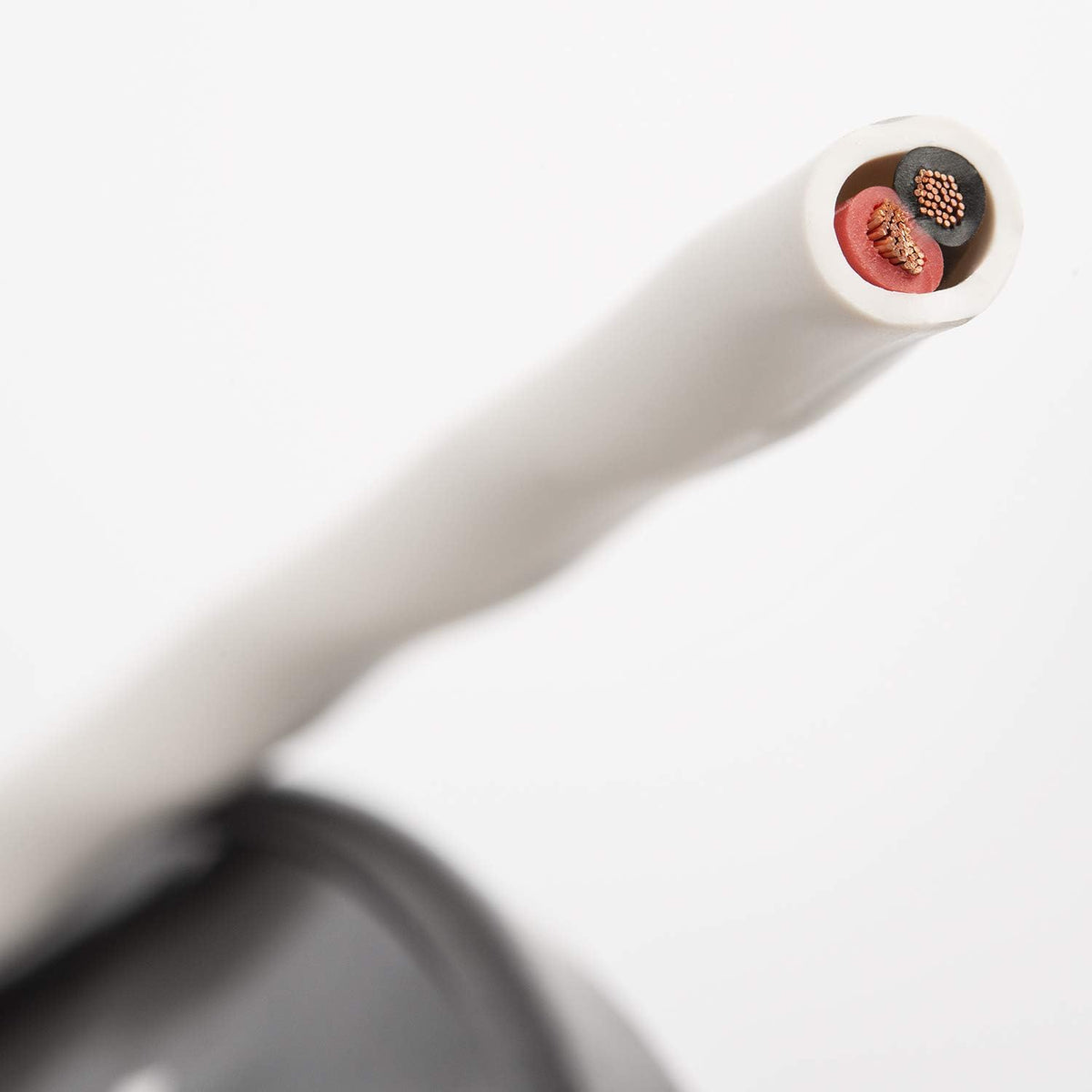 100ft White Speaker Cable F486
