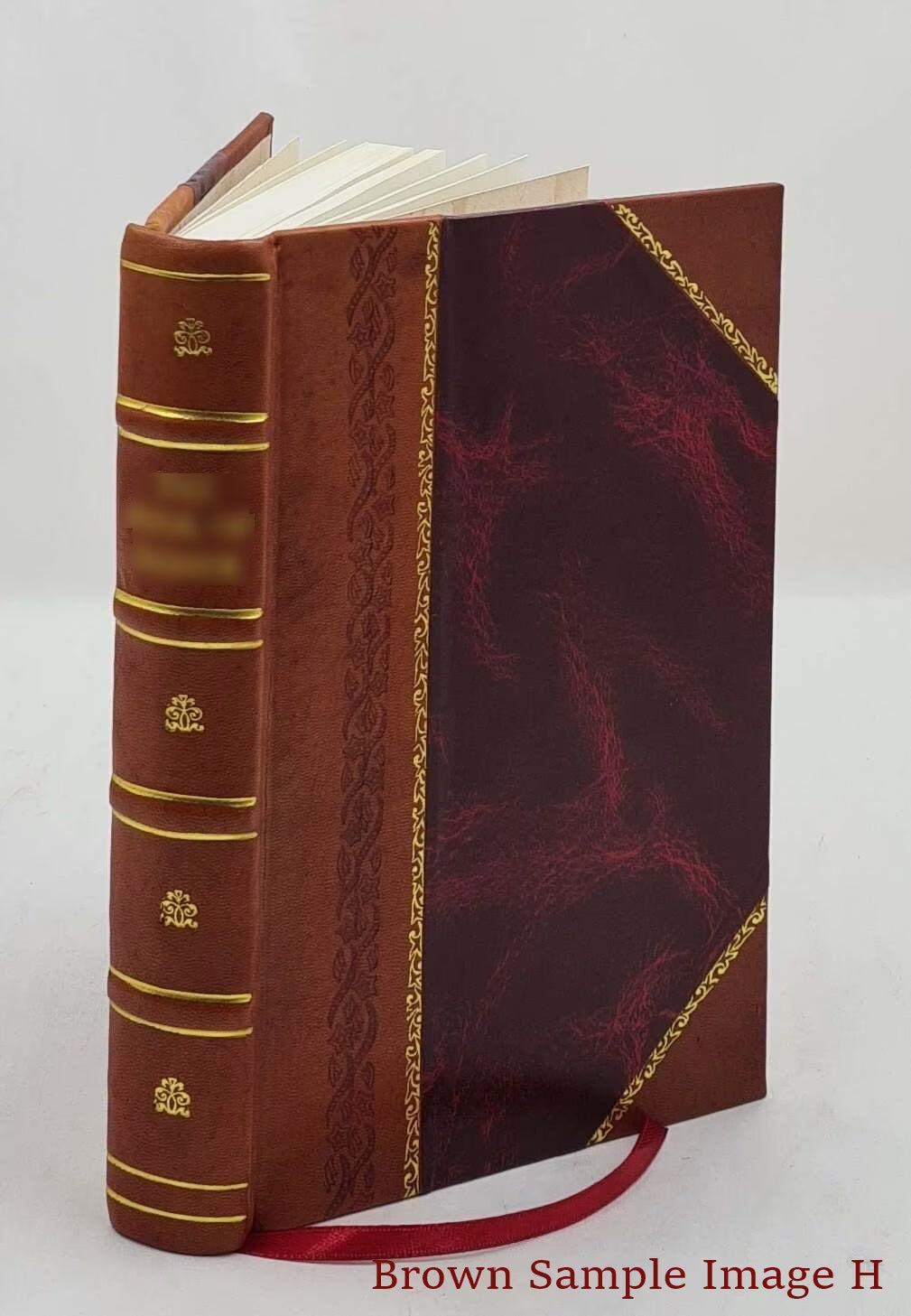 Leather Bound Book U470054