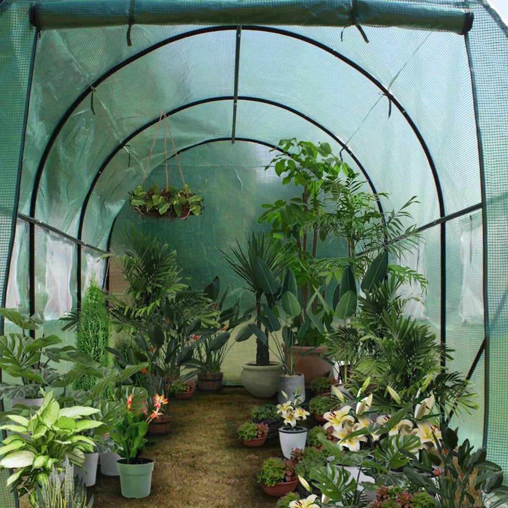 12' x 7' x 7' Portable Walk In Greenhouse Tent with Roll Up Window B5400